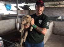 dog-lovers-and-dog-meat-connoisseurs-clash-at-controversial-chinese-festival