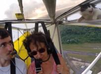 video-cat-clings-to-plane-wing-for-dear-life-as-aircraft-flies-hundreds-of-feet-above-ground
