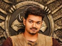 Puli