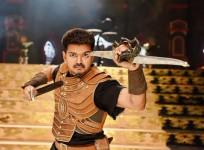 Puli