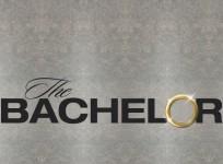 The Bachelor