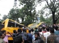 tree fall on bus