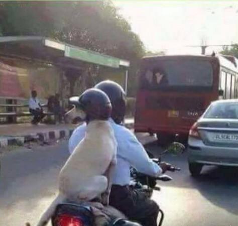 Helmet mandatory tamil nadu