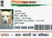 aadhar card for dog