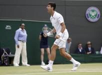 Novak Djokovic Wimbledon 2015 Kevin Anderson