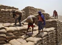 Food Welfare Plan
