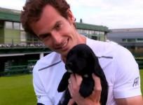 andy-murray-plays-with-pups-in-sniffer-dog-video