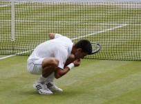 Novak Djokovic Wimbledon 2015 Grass