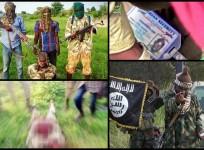 New Boko Haram video