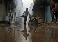 Delhi dengue