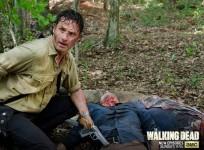The Walking Dead