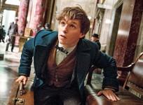Fantastic Beasts and Where to Find Them