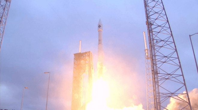 Cygnus