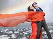 Dilwale
