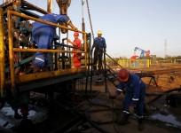 Oil pumps