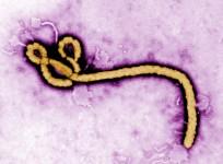 Liberia declared Ebola-free but WHO says the job is not done