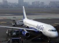 IndiGo