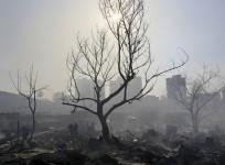 Mumbai smog