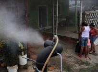 Zika virus
