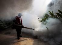 Zika