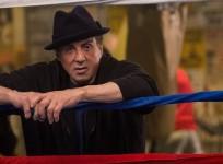 Sylvester Stallone