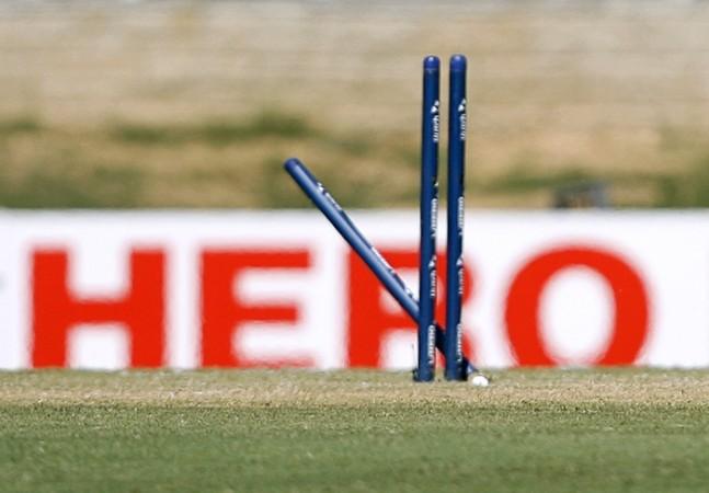 Cricket