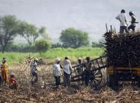 maharashtra farmer