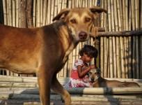Dog rape India