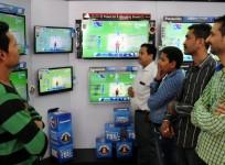 cricket fans