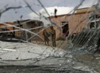 afghanistan parwan blast