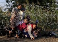 Migrant smuggling fastest market is Europe