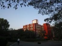 infosys, infosys share buyback, infosys share price, infosys management tussle, infosys mohandas pai, infosys vishal sikka, sikka salary
