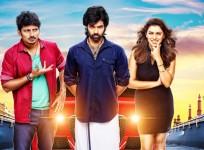 Pokkiri Raja