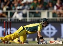 David Warner