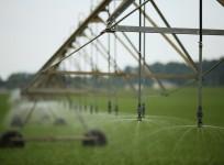 Irrigation