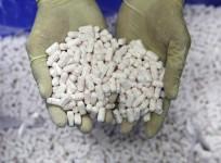 Zydus Pharma Inc recalls 9,504 bottles of antipsychotic tablets