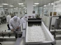 Essentra extends footprint into India for pharma packaging