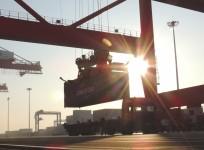 Exports