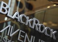 Mutual Funds Blackrock DSP Bonds