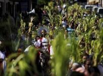 Palm Sunday