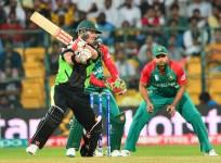 David Warner