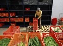 Big basket online grocery portals e-commerce startups