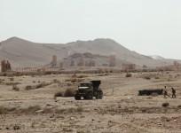 Palmyra