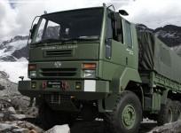 Ashok Leyland trucks