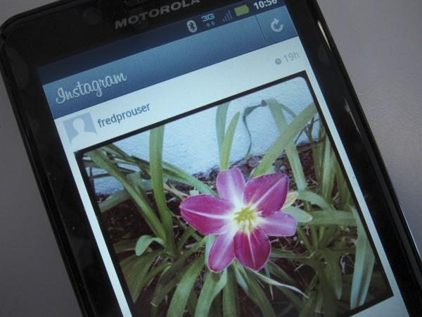 Instagram