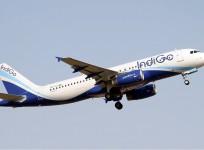 Indigo Airlines