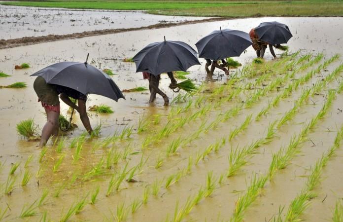 monsoon