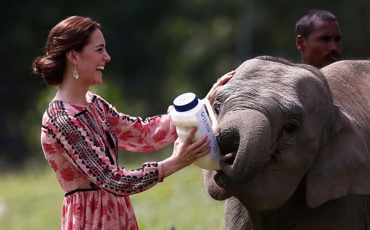 Kate Middleton