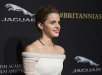 Emma Watson at the BAFTA Los Angeles Britannia Awards, 2014