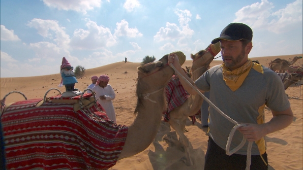 The teams will race camels in Dubai